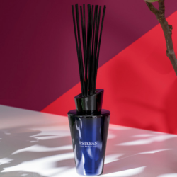 Bouquet Perfumado y Recarga 150ml Higuera & Tonka