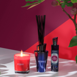 Bouquet Perfumado y Recarga 150ml Higuera & Tonka
