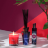 Bouquet Perfumado y Recarga 150ml Higuera & Tonka