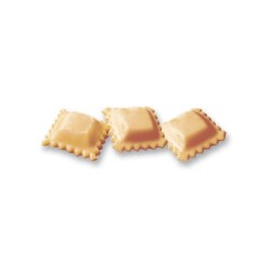 Molde Para Raviolis - Raviolamp Nº44