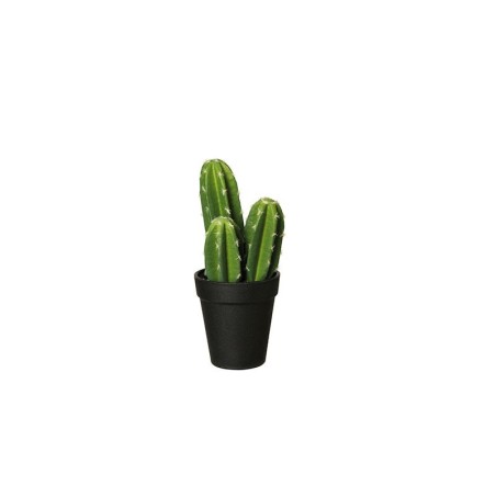 Florero Con Cactus 'Pachycereus Pringli' 22cm - Deko